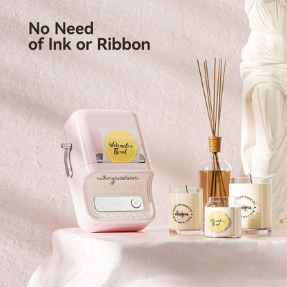 NIIMBOT B21 Label Printer