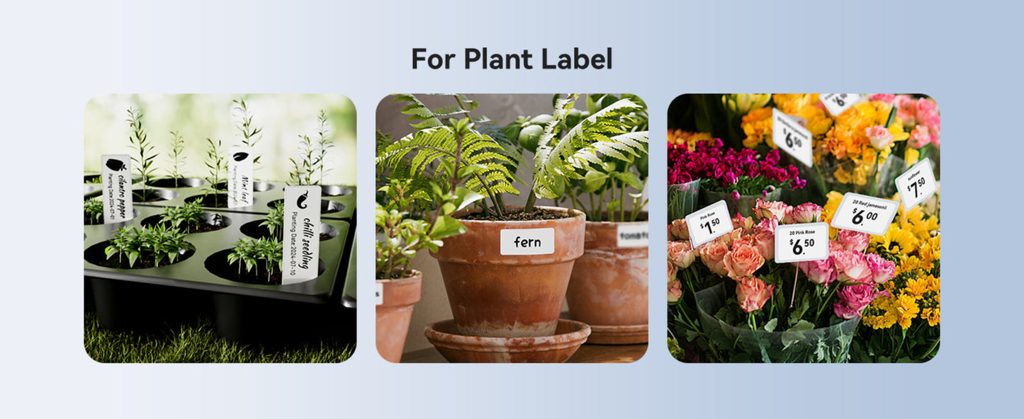 NIIMBOT M2-H Thermal Transfer Bluetooth