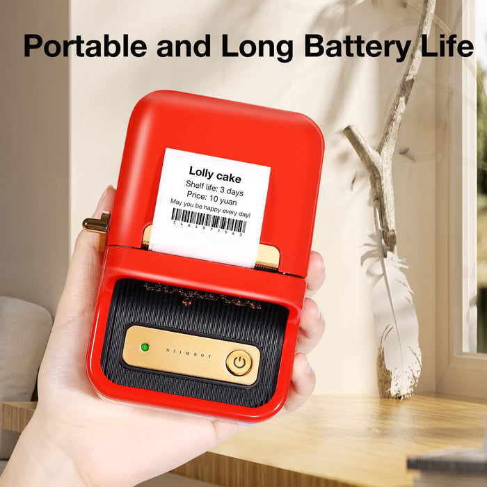 NIIMBOT B21 Label Printer