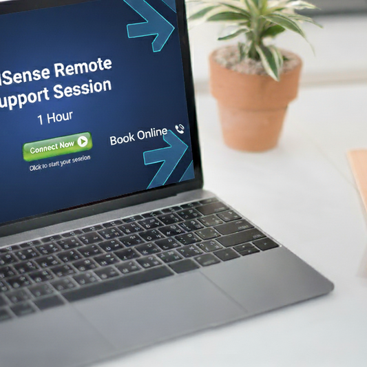 Support Session – 1 Hour (Remote)